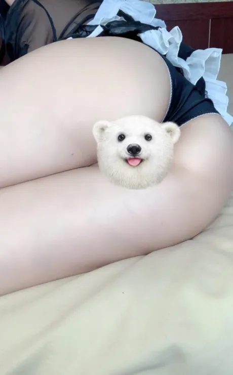 るり・過激すぎる生動画配信中奥様メモリアル