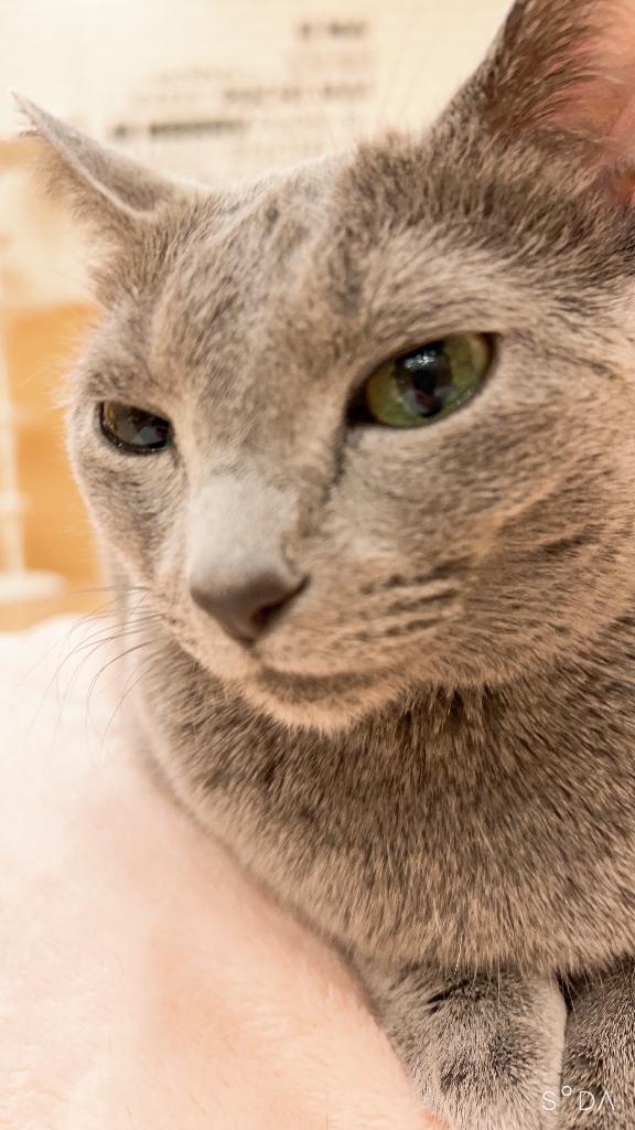 ふみエススタイルクラブ