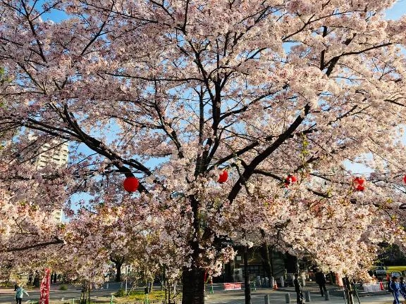 ときこおばさんの店　仙台FC