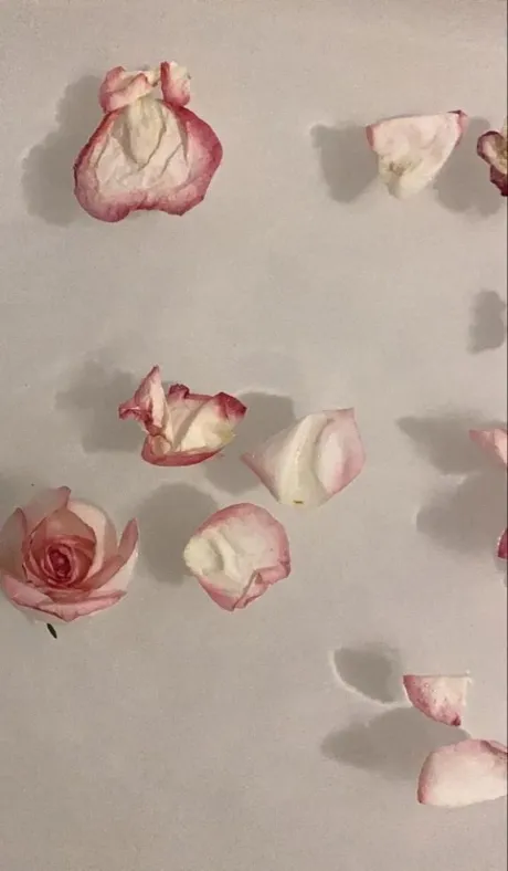 世奈(せな)グランドオペラ福岡