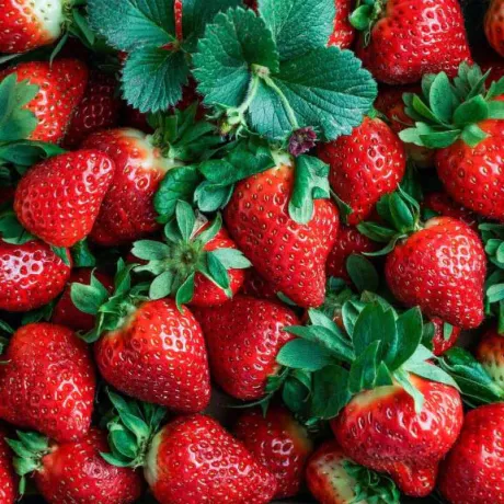 ゆり即プレイ専門店　性の極み