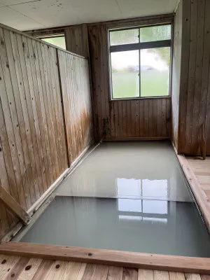 ワニ