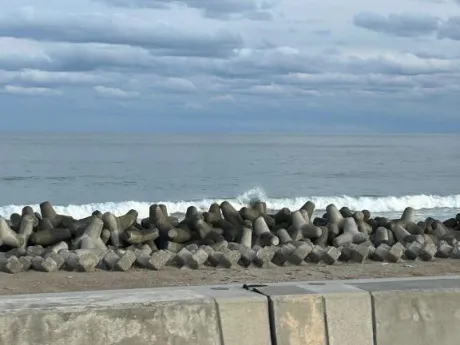 なな宮城仙南ちゃんこ