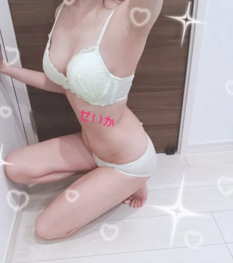 出勤中 🐰ྀི/セイカ
