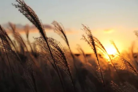 出勤しました🐱/みさと