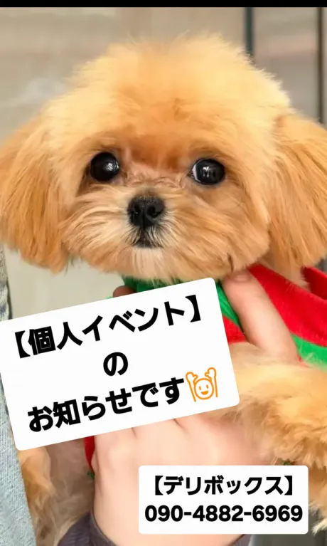 ★お気軽にお電話下さい★/めい (魅惑のEカップ、パイパン嬢)