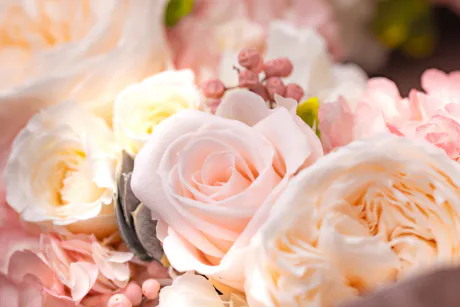 11/11  I様&本日出勤です♪/前田　千穂