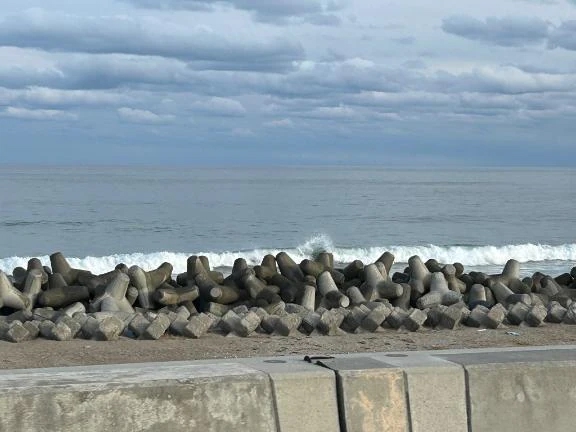 なな宮城仙南ちゃんこ