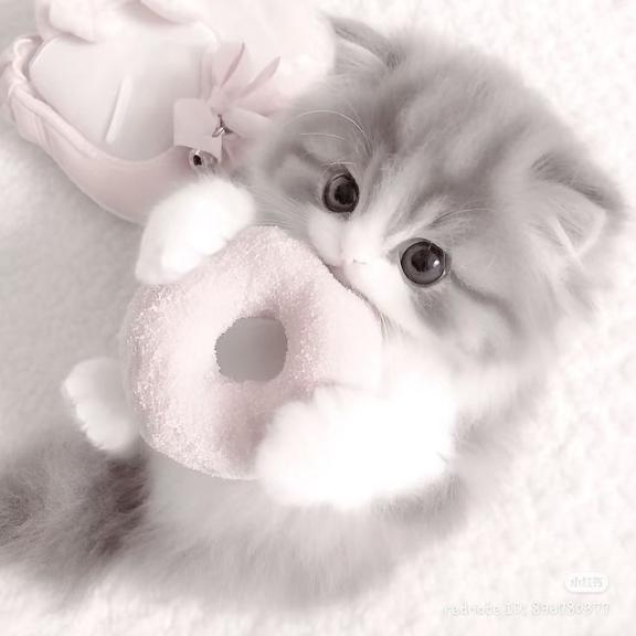 新人　れいDeliysCure仙台