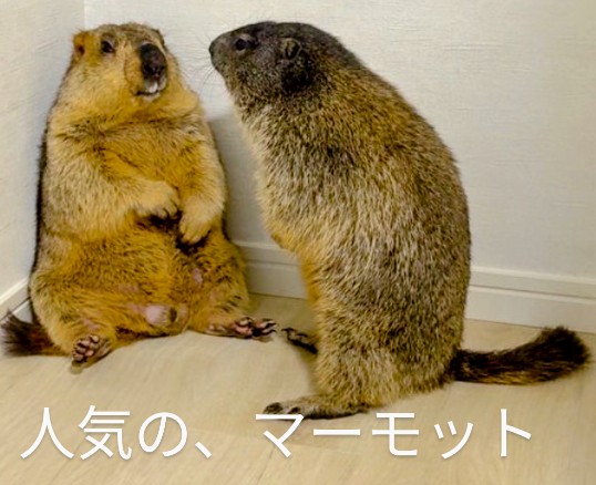 寒い～温まりたい