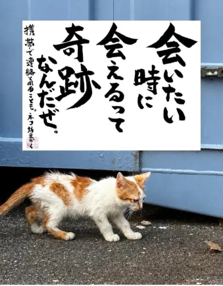 シオン人妻生レンタルーNTRー