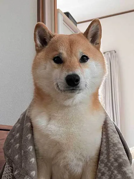 おはよう ( * ・ω・) ノ/なお