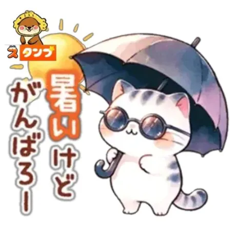 新人みさきマダム DOLCE