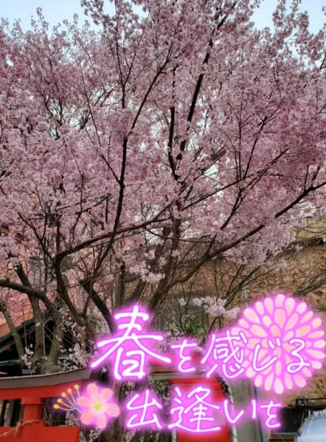 ゆずは奥様メモリアル