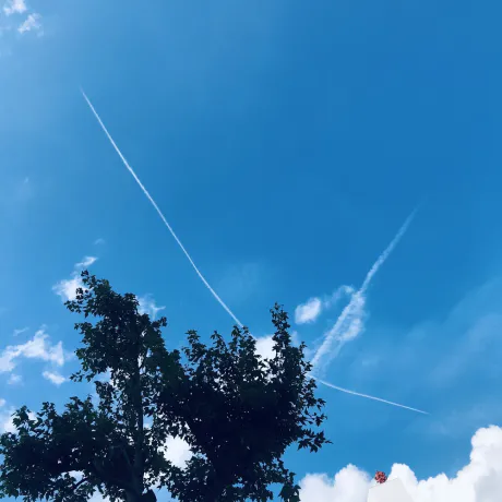 日曜日 /さやか