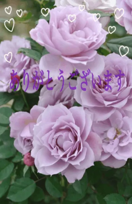 みことのブログ お礼❤️