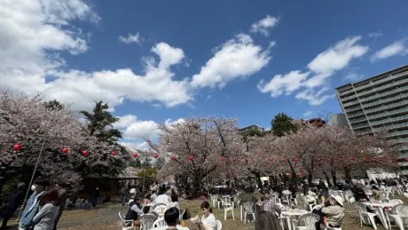 🌸1ヶ月ぶり？/すずか　奥様