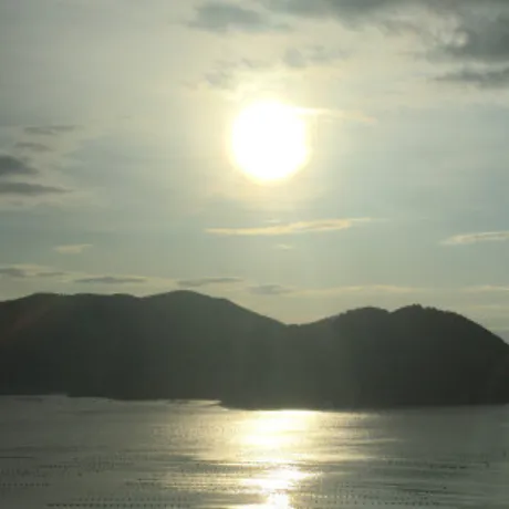 くるみ 奥様仙台人妻セレブリティー