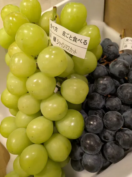 本日、出勤いたします。。。/ことみ