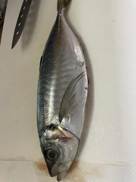 おはようございます🌙🌃♡♡/るあ