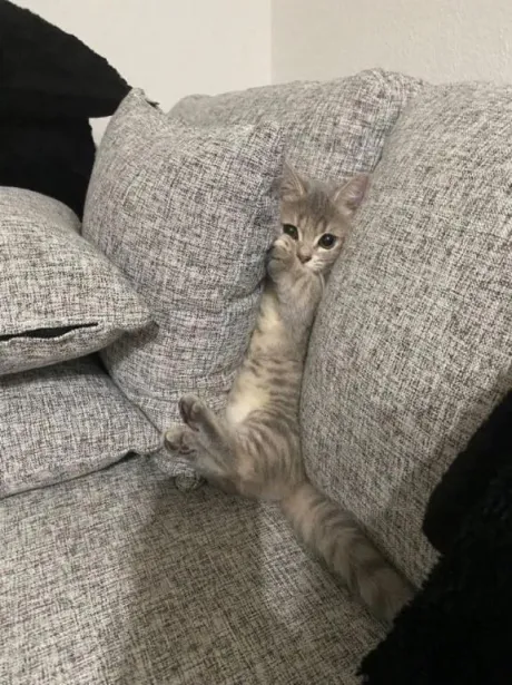 あのロイヤルクラブ