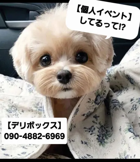 めい (魅惑のEカップ、パイパン嬢)デリボックス