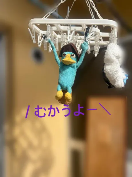 おはよう☀️/みずほ　奥様