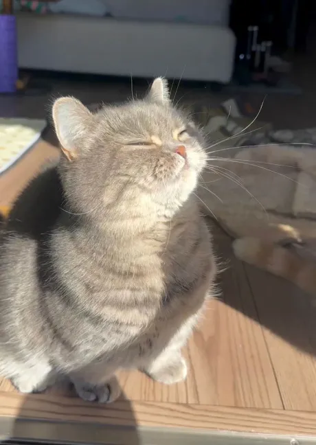 ありがとう ( * ・ω・) ノ/なお