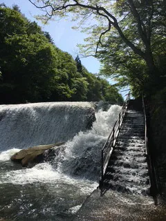 くるみ 奥様仙台人妻セレブリティー