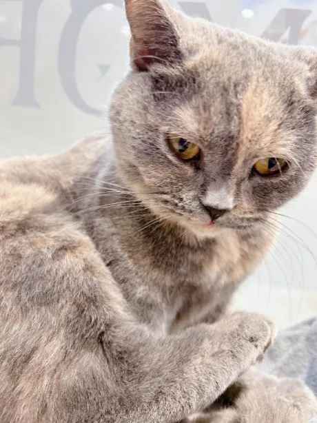 久しぶり…？？/ゆい