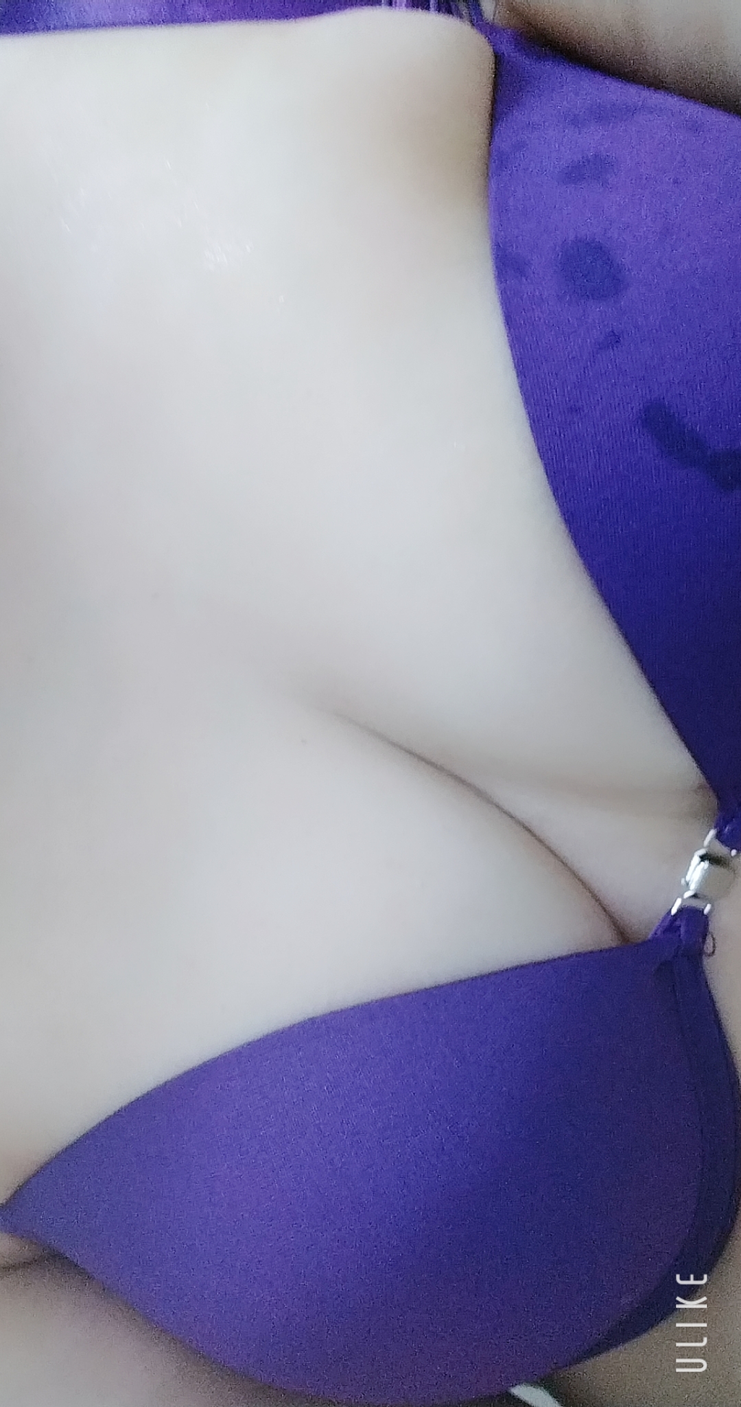 /緊急入店マオリ(弘前)