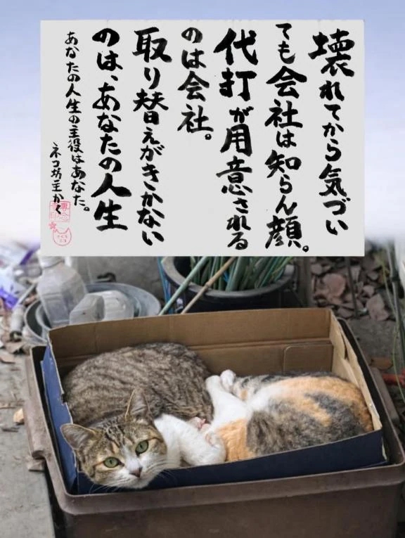 シオン人妻生レンタルーNTRー