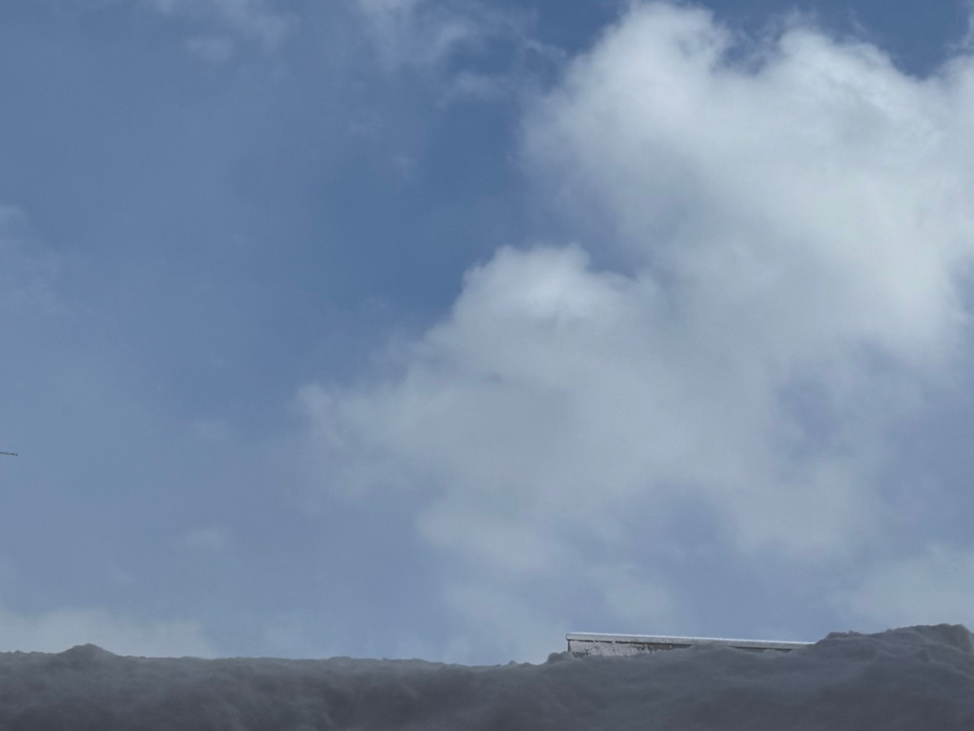 ももこです(^з^)昨日11日ありがとうございました