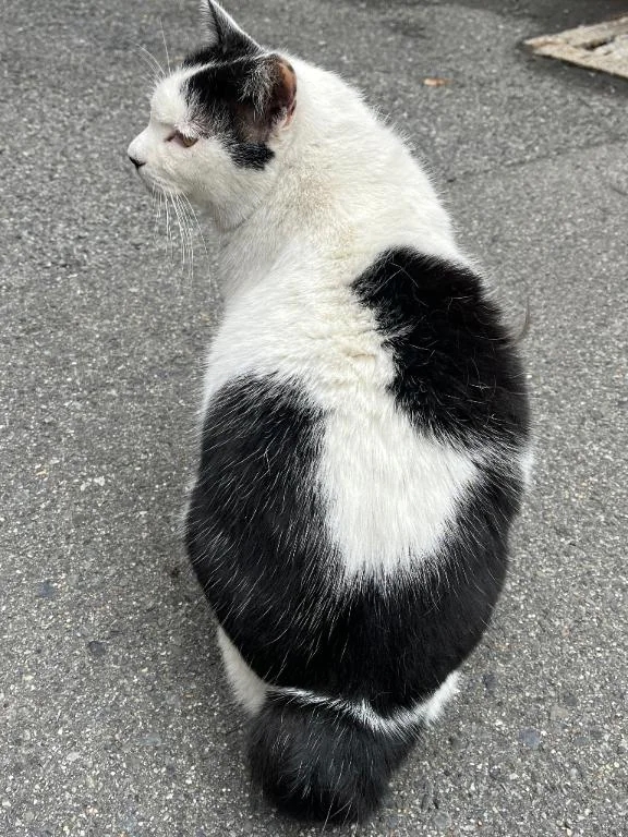 おはよう🐏変更