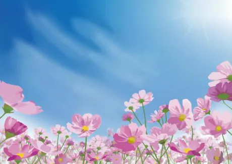 おはようございます/そら