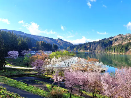 アロマ、自然、健康食、体にいいこと/なつみ[弘前]