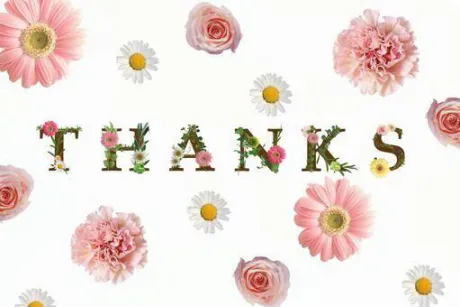 あおい奥様メモリアル