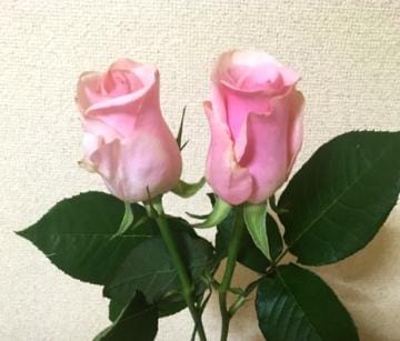 待機に戻りました♡