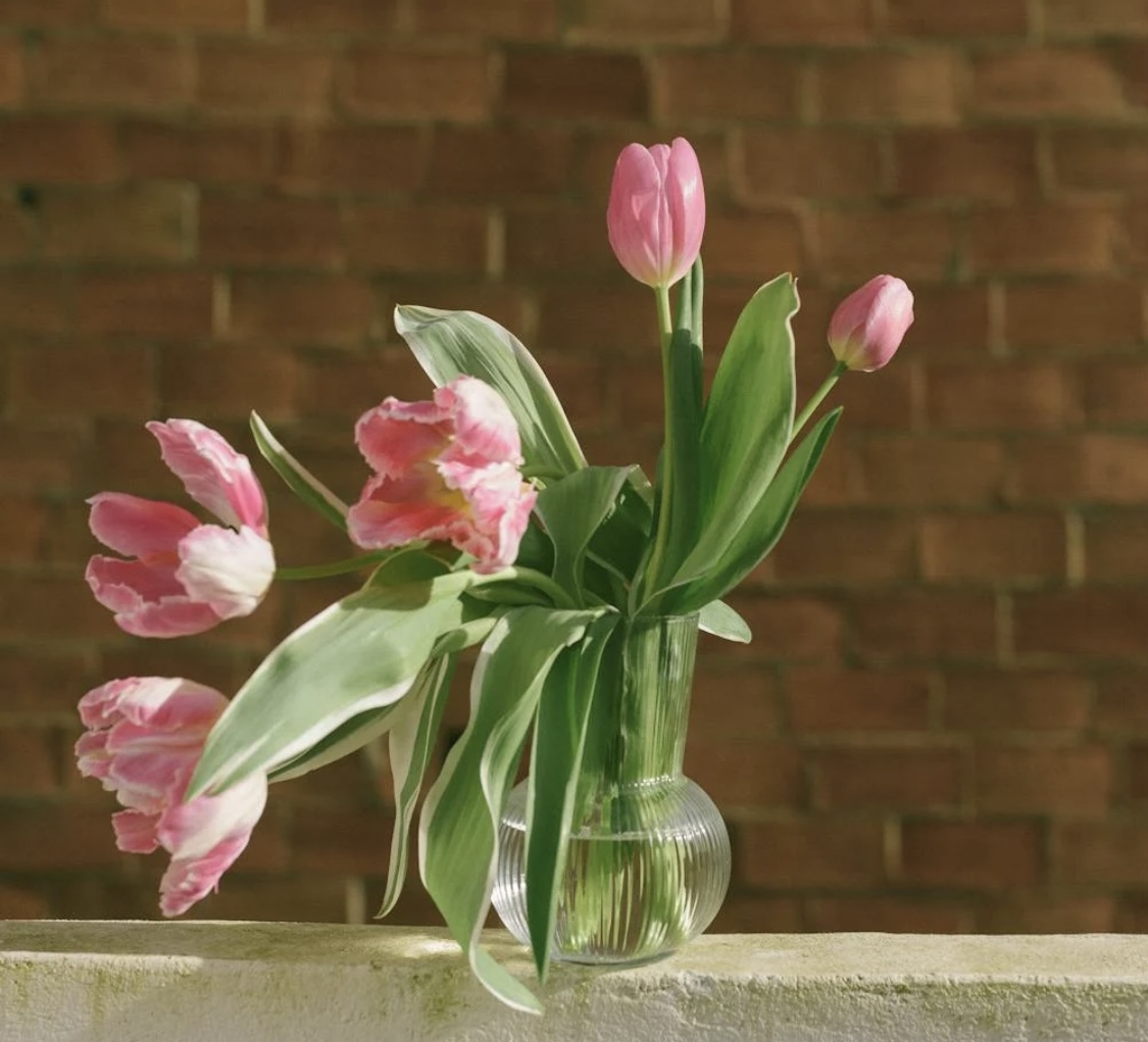 次回の出勤予定/小田　あかり