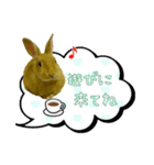 おはようございます(^O^)