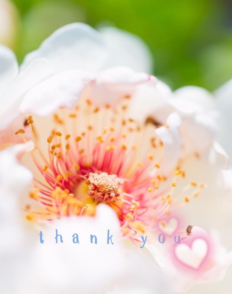 ☆ひとみ奥様club生奥様～福島店～