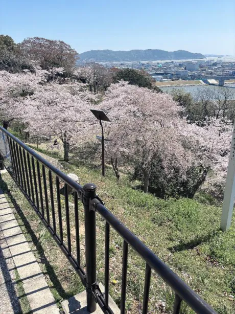 なつき奥様メモリアル