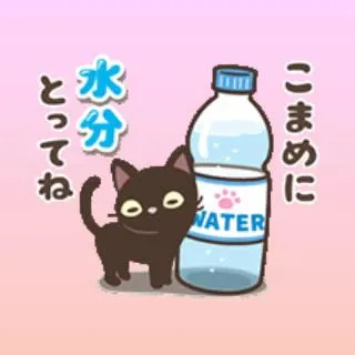 久美子マダム DOLCE