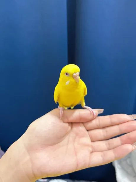 おはよーん☀️/しおり