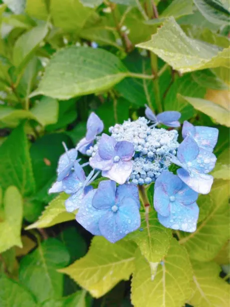 後ほど🌿‬/恵梨(えり)