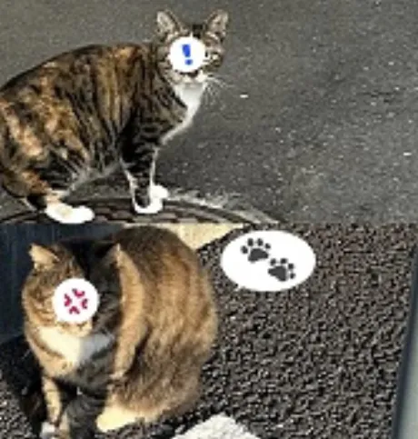 くるみ 奥様仙台人妻セレブリティー