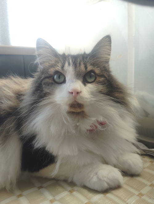 最近の悩み…。