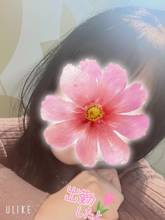 あいか奥様メモリアル