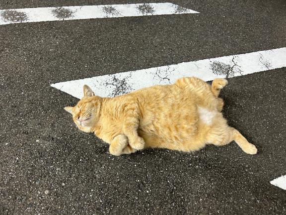 明日出勤します🤍