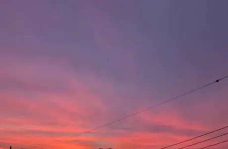 秋ですね🍁/みさと